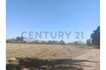 Curacaví, Región Metropolitana De Santiago 00001, Şili