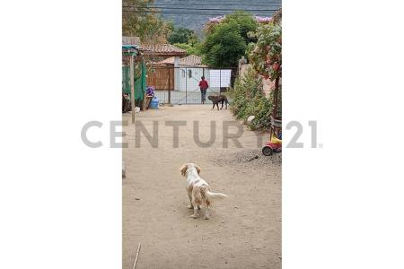 Quillota, Valparaíso 00001, Chile