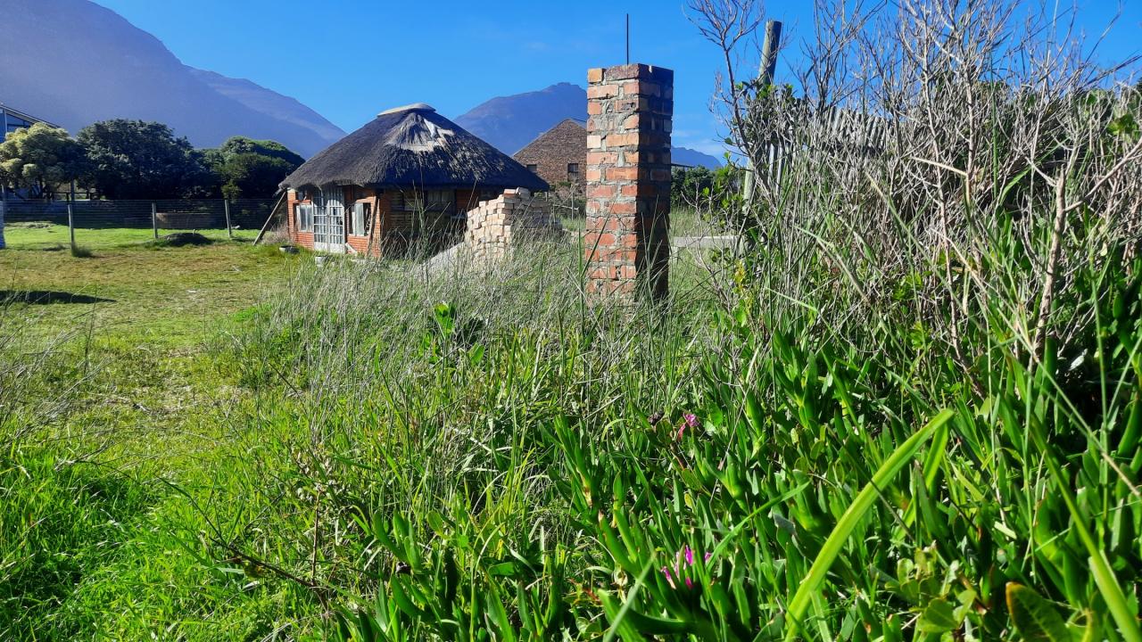 Bettys Bay, Western Cape, 南アフリカ