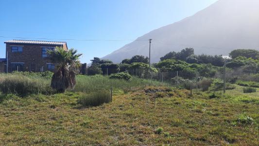 Bettys Bay, Western Cape, 南アフリカ