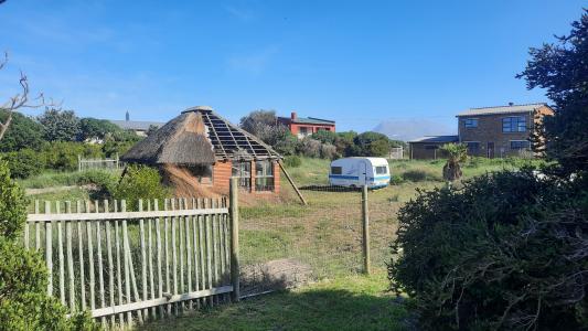 Bettys Bay, Western Cape, 南アフリカ