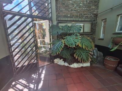 Boksburg, Gauteng, South Africa