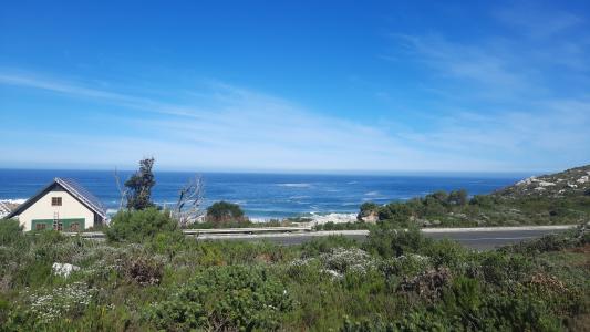 Bettys Bay, Western Cape, 南アフリカ
