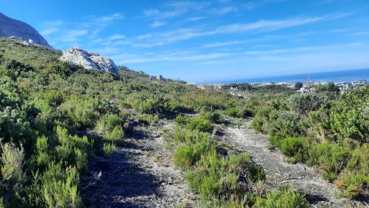 Bettys Bay, Western Cape, South Africa
