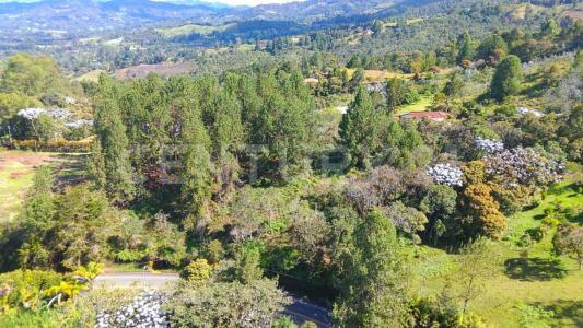 Rionegro, אנטיוקיה 054047, קולומביה 