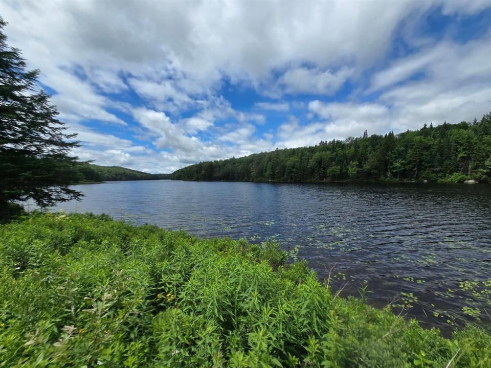 131Z  Ch. du Sirocco, Saint-Adolphe-d'Howard, Quebec J0T 2B0, Canadá