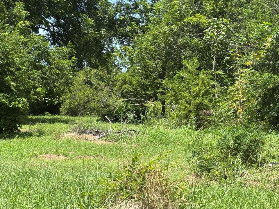 1124 Jones Street, Greenville, Texas 75401, Estados Unidos