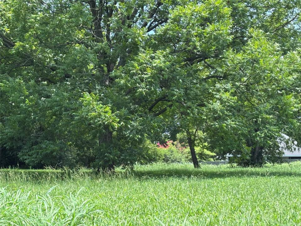 1612 Wright Street, Greenville, Texas 75401, Estados Unidos