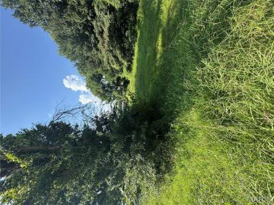 Third, Kennett, Missouri 63857, USA