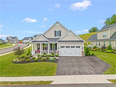 93 Skyview Drive, Canonsburg, Pennsylvania 15317, USA