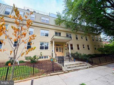 1300 Taylor Street NW Unit# 4, Washington, DC 20011, USA