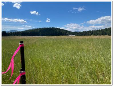 163 Firehouse Rd, Moyie Springs, Idaho 83845, Estados Unidos
