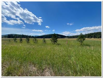 163 Firehouse Rd, Moyie Springs, Idaho 83845, Estados Unidos