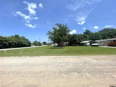 000 Sioux, Quitman, Texas 75783, USA