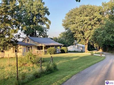 1751 Robert Landis Road, Greensburg, 肯塔基州 42743, 美国
