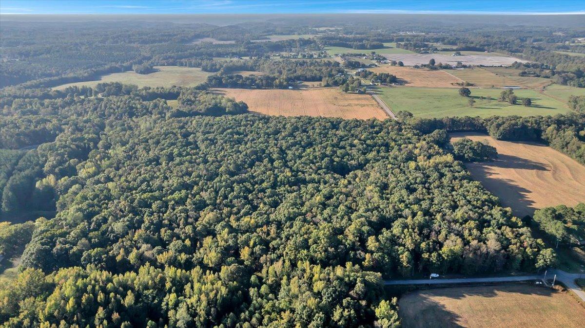 20 Acres Little Coffman Road, Lester, Alabama 35647