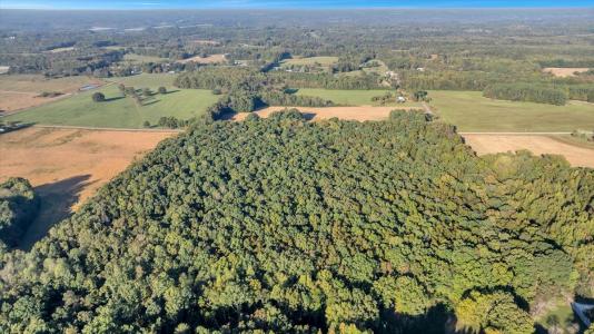 20 Acres Little Coffman Road, Lester, Alabama 35647