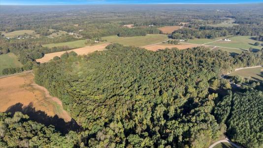 20 Acres Little Coffman Road, Lester, Alabama 35647