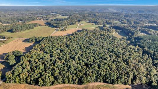 20 Acres Little Coffman Road, Lester, Alabama 35647, USA