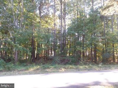 Saint Georges Park Road, Piney Point, Maryland 20674, USA
