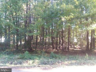 Saint Georges Park Road, Piney Point, Maryland 20674, USA