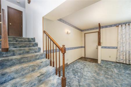 117 Holiday Dr, Marietta, אוהיו 45750, ארצות הברית של אמריקה