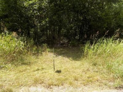 Tbd Cane Creek Road, Kissee Mills, 密蘇里州 65680, 美國