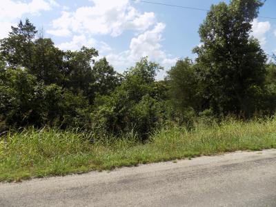 Tbd Cane Creek Road, Kissee Mills, 密蘇里州 65680, 美國
