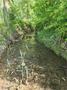 36923 Sugar Ridge Road, North Ridgeville, Ohio 44039, USA