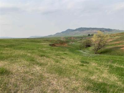 TBD Colorado Blvd, Spearfish, 南達科他州 57783, 美國