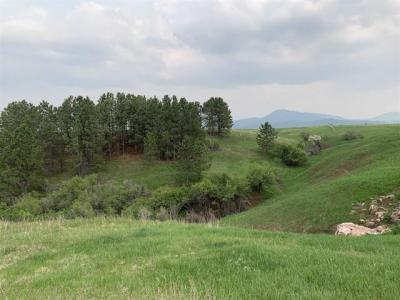 TBD Colorado Blvd, Spearfish, 南達科他州 57783, 美國