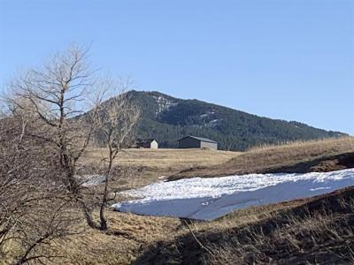 TBD Colorado Blvd, Spearfish, 南達科他州 57783, 美國