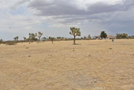 111 La Mirada Road, Phelan, كاليفورنيا 92371, الولايات المتحدة
