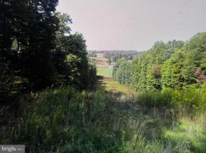 Tower Road Parcel 9, Smithsburg, Maryland 21783, Estados Unidos