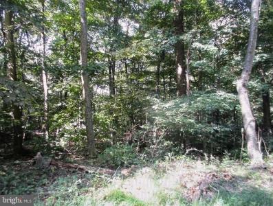 Tower Road Parcel 9, Smithsburg, Maryland 21783, Estados Unidos