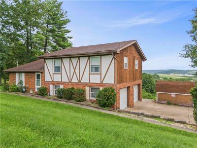 851 Mounts Rd, Washington, Pennsylvania 15301, Estados Unidos