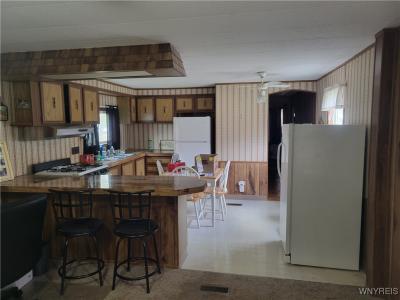1100 Karen Street, Evans, NY 14006, USA