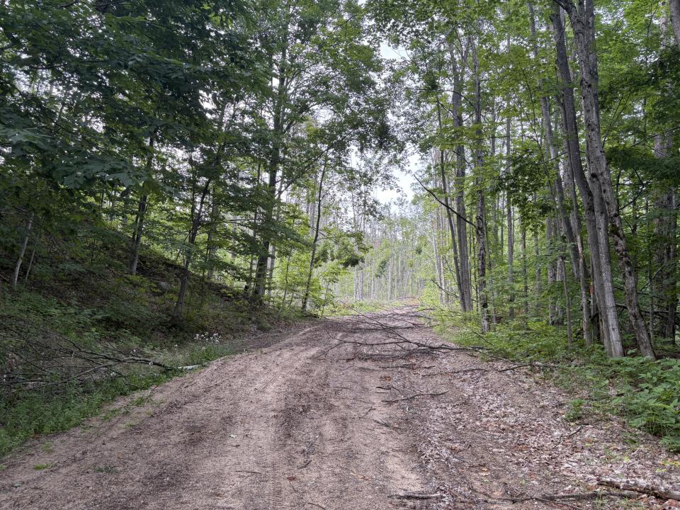 Mount Jack Road, Elmira, Michigan 49730, HOA KỲ