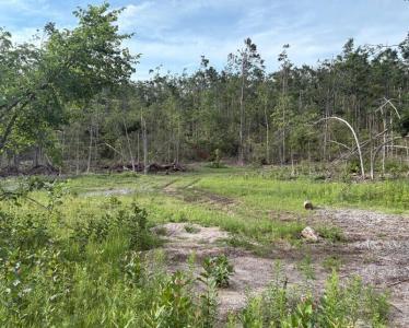 Mount Jack Road, Elmira, Michigan 49730, HOA KỲ