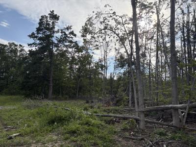 Mount Jack Road, Elmira, Michigan 49730, HOA KỲ