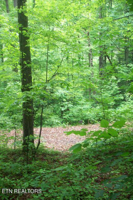 483 Chetola Trail, Townsend, Tennessee 37882, Estados Unidos