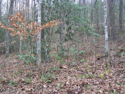 483 Chetola Trail, Townsend, Tennessee 37882, USA