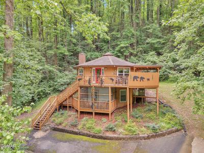 1157 Villa Lane, Gatlinburg, Tennessee 37738, Amerika Birleşik Devletleri
