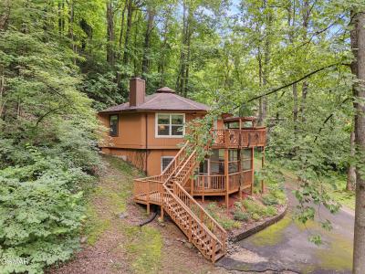 1157 Villa Lane, Gatlinburg, Tennessee 37738, Amerika Birleşik Devletleri