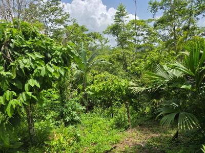 San Antonio, Toledo 00001, Bélize