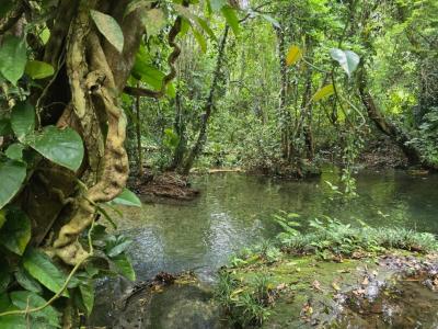 San Antonio, Toledo 00001, Bélize
