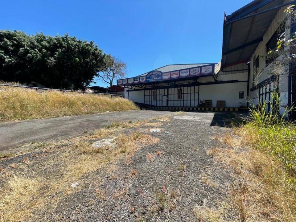 Escalante Carmen San José, San José 00001, 哥斯達尼加