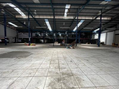 Escalante Carmen San José, San José 00001, 哥斯達尼加