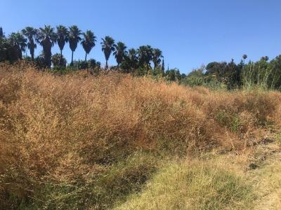 Malaga, Andalucía 29680, Spain