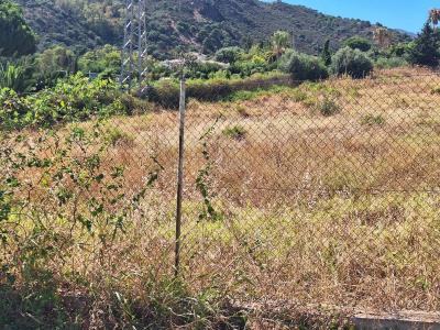 馬拉加, Andalucía 29680, 西班牙